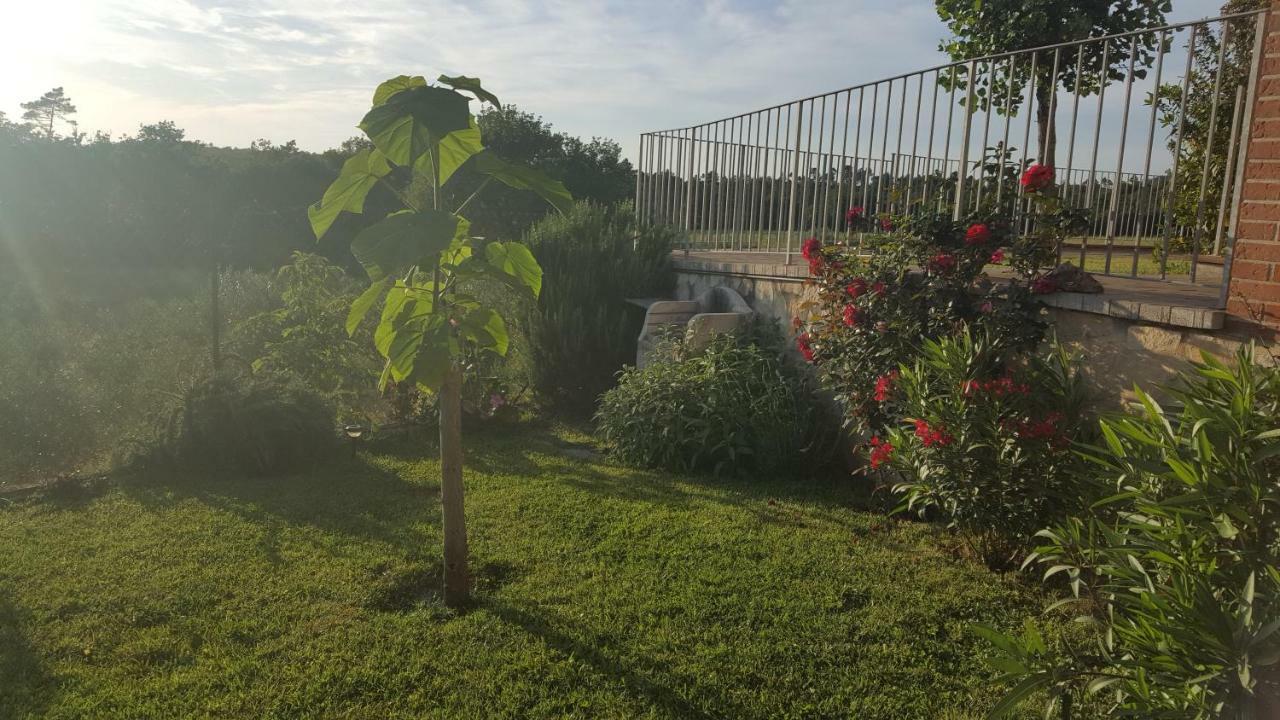 Casa La Pineta Villa Pievescola Ngoại thất bức ảnh